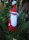 KSS A Red Santa (Jultomte) 9" Tall