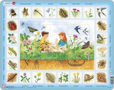 Larsen Field with Flowers & Insects Puzzle 48 pcs 024401 NA1