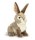 Teddykompaniet Forest Animal Rabbit (Kanin) - 7091