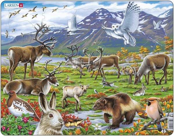 Larsen Arctic Inland Animals Puzzle 50 pcs 021114 FH14
