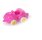Viking Toys 3" Little Chubbies Convertible Pink