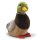GUND Mallard Duck Small 8" 4037011