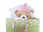 Gift Bag for a Baby Girl Bear and Blanky, Newborn and up