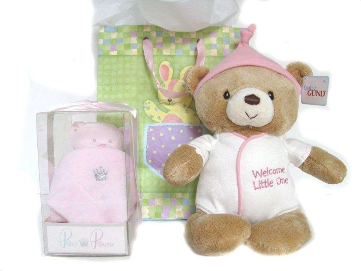 Gift Bag for a Baby Girl Bear and Blanky, Newborn and up