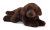 GUND Chocolate Labrador 11" Small Plush