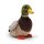 GUND Mallard Duck Beanbag 5" 4037012