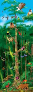 Melissa & Doug Rain Forest Floor Puzzle (100 pc) - 444