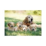 Melissa & Doug Golden Retriever with Puppies Cardboard (100 pc)