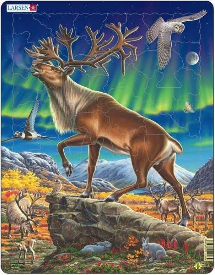 Larsen Reindeer in Nordic Light Puzzle 60 pcs 021126 FH26 - Click Image to Close