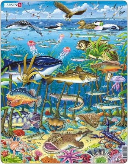 Larsen Sea Weed with Sea Life Puzzle 60 pcs 021113 FH13 - Click Image to Close