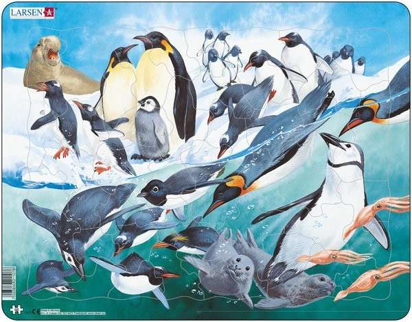 Larsen Penguins in Natural Surrounding Puzzle 50 pcs 021107 FH7